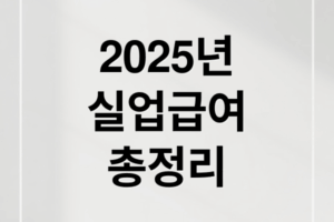 2025년 실업급여 완벽 가이드: 조건·신청방법·지급액 총정리