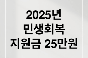 2025 민생회복지원금 25만원 신청 방법과 필수 조건 총정리