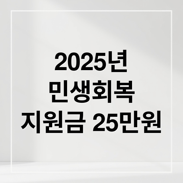 2025 민생회복지원금 25만원 신청 방법과 필수 조건 총정리